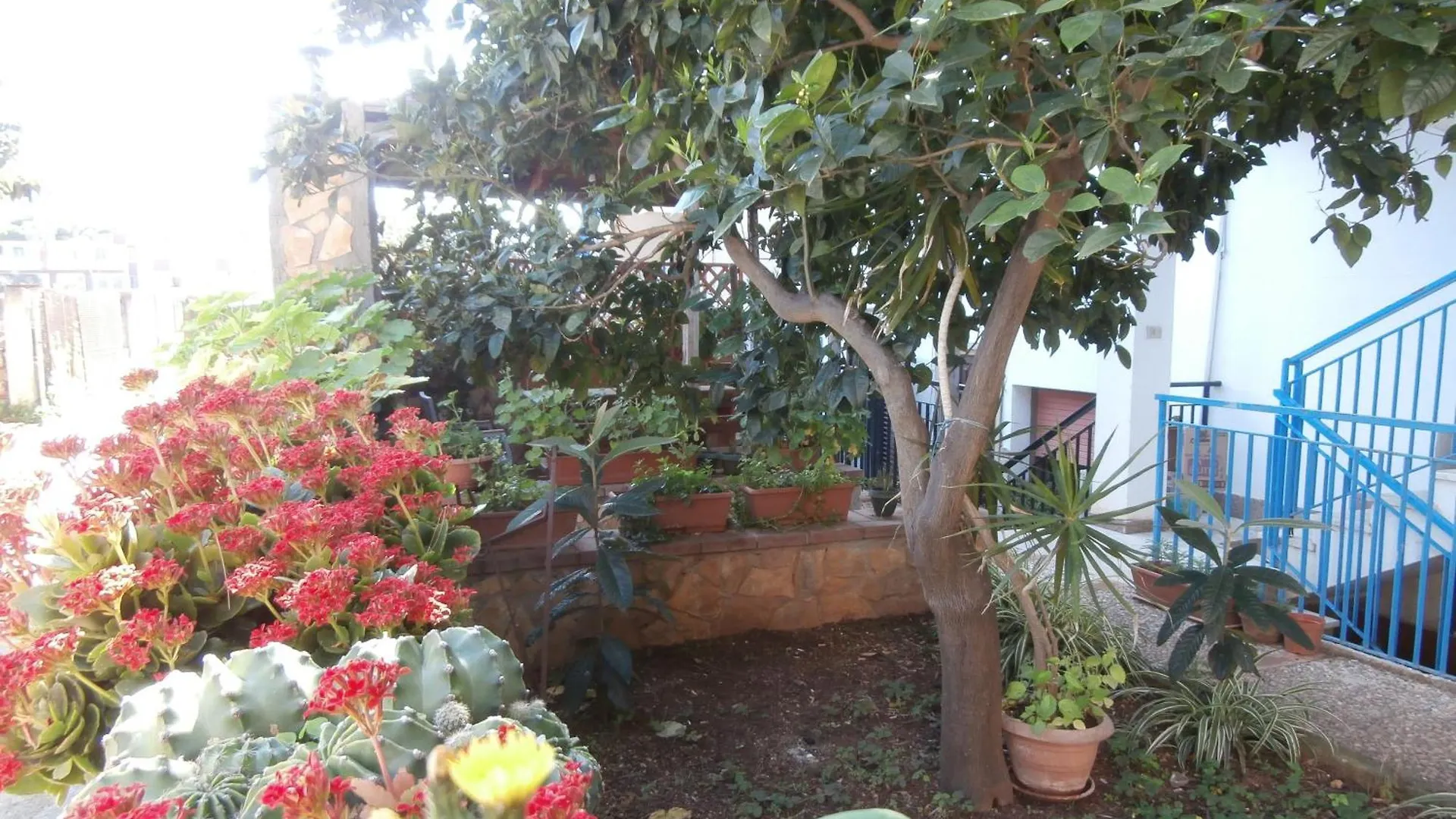 Busalacchi B&B Mondello Italie